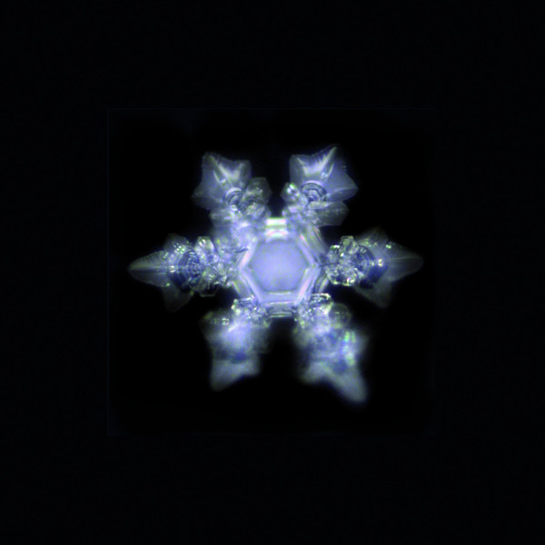 Carafe Alladin Family Or 2.3 l soufflé à la bouche